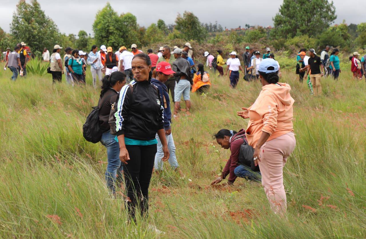 L'Assemblée nationale renforce son engagement pour la reforestation