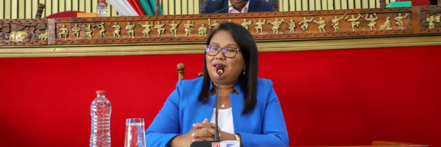 Renforcement du dialogue entre l’Assemblée nationale et le ministère de la Population