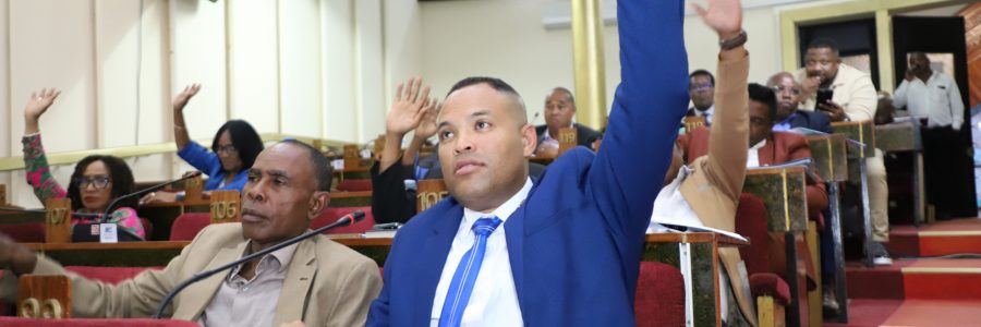 Adoption de plusieurs projets de loi par les députés